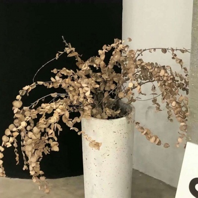 Furry角色互动设计FurryQQ群